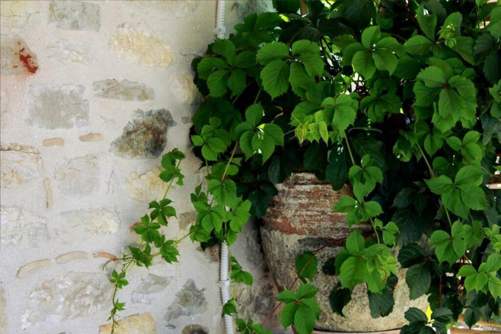 Traditional Stone House At Great Location Daire Koróni Dış mekan fotoğraf